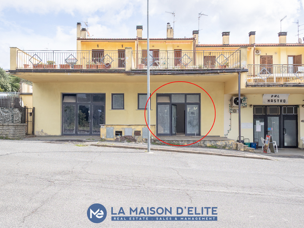 Canino commerciale (3)