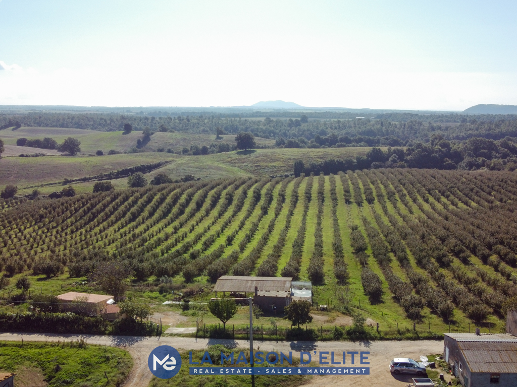 Pitigliano terreno (5)
